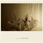 dailyPhoto29